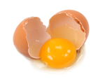 Egg Yolk