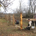 Fence Building